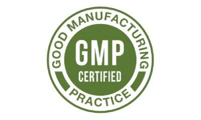 GMP 400